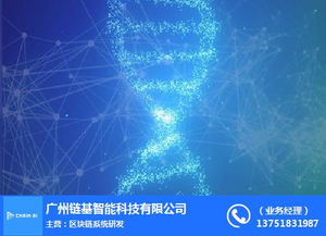 鏈基智能 智能系統(tǒng)解析與廈門(mén)數(shù)據(jù)處理存儲(chǔ)服務(wù)新趨勢(shì)
